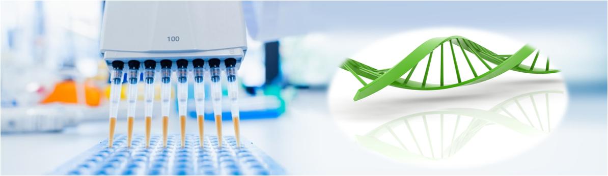Oligo-DNA 偶联试剂盒