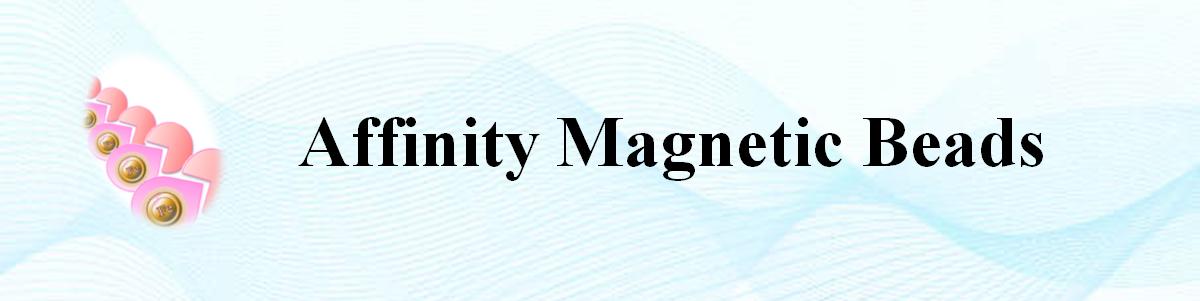 可分离式NHS活化磁珠